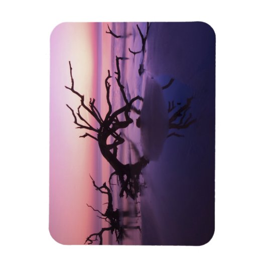 GA Jekyll Island, Tree Friedhof am Strand Magnet (Vertikal)