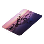 GA Jekyll Island, Tree Friedhof am Strand Magnet (Linke Seite)