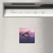 GA Jekyll Island, Tree Friedhof am Strand Magnet (In Situ (Geschirrspüler))