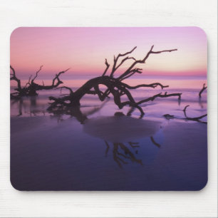 GA Jekyll Island, Tree Friedhof am Strand Mousepad