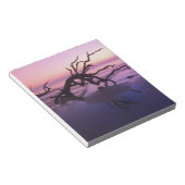GA Jekyll Island, Tree Friedhof am Strand Notizblock (angewinkelt)