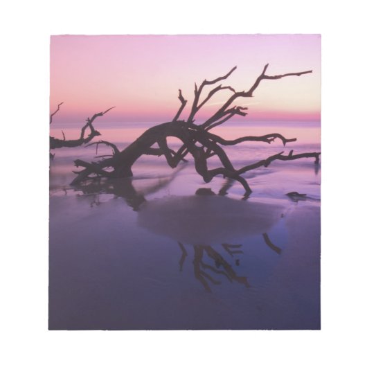 GA Jekyll Island, Tree Friedhof am Strand Notizblock (Vorderseite)