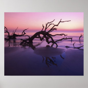 GA Jekyll Island, Tree Friedhof am Strand Poster