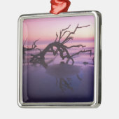 GA Jekyll Island, Tree Friedhof am Strand Silbernes Ornament (Links)
