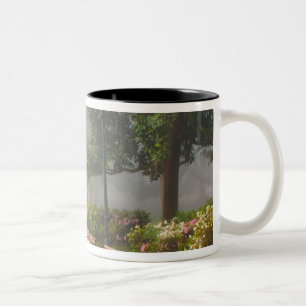 GA Savannah, Azaleen entlang einem Ziegelsteinweg  Zweifarbige Tasse