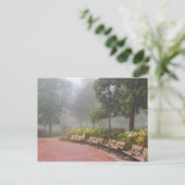 GA Savannah, Azaleen entlang Ziegelweg und Postkarte (Stehend Vorderseite)