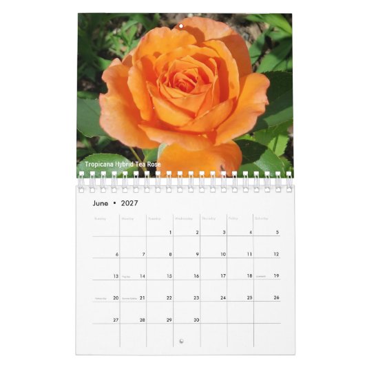 Gabby Gardener 2021 Kalender (Jun 2027)