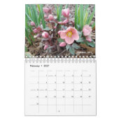 Gabby Gardener 2021 Kalender (Feb 2027)