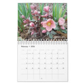 Gabby Gardener 2021 Kalender (Feb 2026)