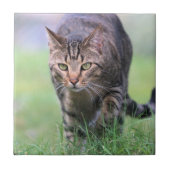 Gabe Fliese (Vorderseite)