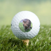 Gabe Golfball (Insitu T-Shirt)