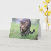 Gabe Karte (Gelbe Blume)