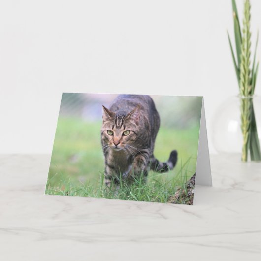 Gabe Karte (Vorderseite)