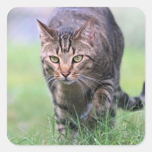 Gabe Quadratischer Aufkleber (Vorderseite)