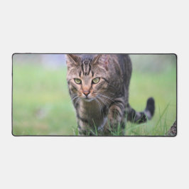 Gabe Schreibtischunterlage