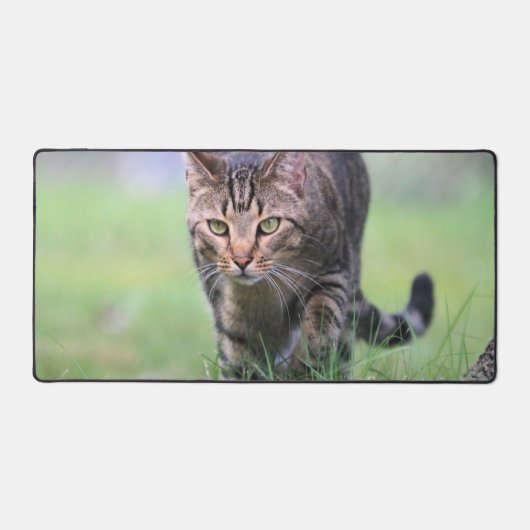 Gabe Schreibtischunterlage (Vorderseite)