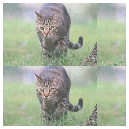 Gabe Stoff (Nahaufnahme)