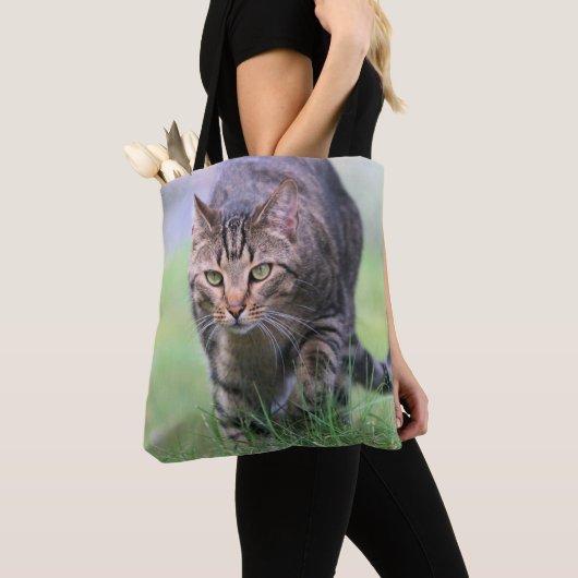 Gabe Tasche (Von Nahem)