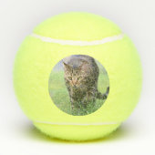 Gabe Tennisbälle (Rückseite)