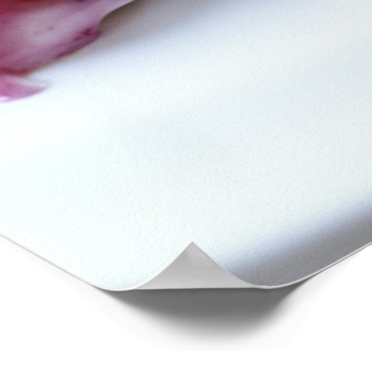 Gabel-Scheiben auf Platte Poster (Ecke)