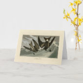 Gabel-Schwanz Petrel von Audubons Vögeln von Ameri Karte (Gelbe Blume)