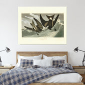 Gabel-Schwanz Petrel von Audubons Vögeln von Ameri Leinwanddruck (Insitu (Schlafzimmer))