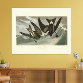 Gabel-Schwanz Petrel von Audubons Vögeln von Ameri Leinwanddruck (Insitu (Wohnzimmer))
