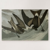 Gabel-Schwanz Petrel von Audubons Vögeln von Ameri Puzzle (Horizontal)