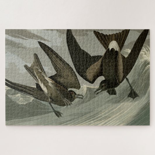 Gabel-Schwanz Petrel von Audubons Vögeln von Ameri Puzzle (Horizontal)