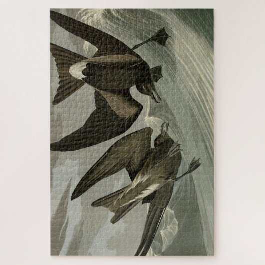 Gabel-Schwanz Petrel von Audubons Vögeln von Ameri Puzzle (Vertikal)