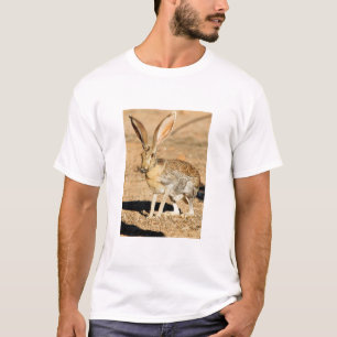 Gabelantilope-Hase Porträt, Arizona T-Shirt