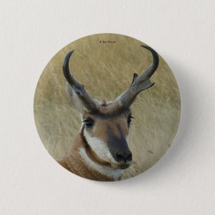 Gabelbock A5 Button