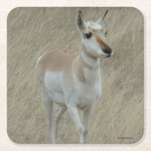  Gabelbock-Antilope A17 Rechteckiger Pappuntersetzer