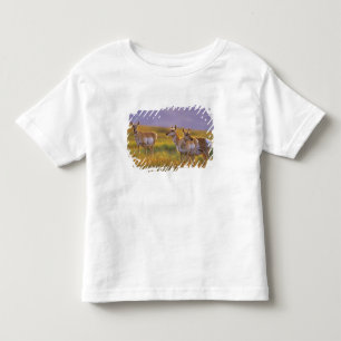 Gabelbock-Antilope in Montana Kleinkind T-shirt