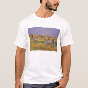 Gabelbock-Antilope in Montana T-Shirt