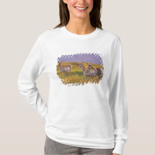 Gabelbock-Antilope in Montana T-Shirt
