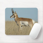 Gabelbock Antilope Mousepad (Mit Mouse)