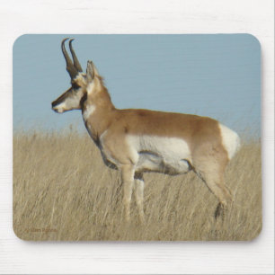 Gabelbock Antilope Mousepad