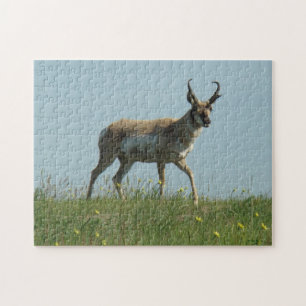 Gabelbock durch Wildblumen gehend Puzzle