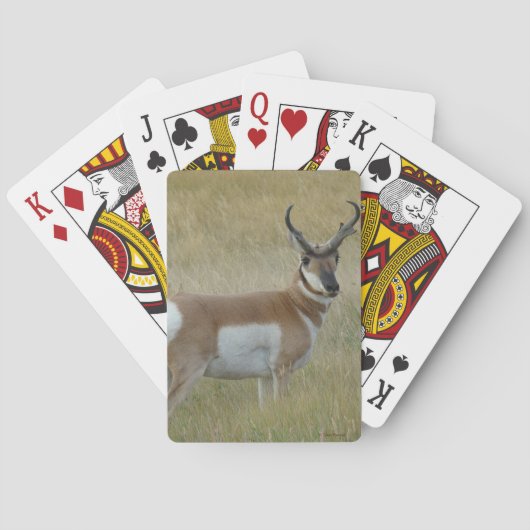 Gabelbock Großer Bock A1 Spielkarten (Rückseite)