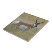 Gabelbock Großer Bock Fliese (Seite)