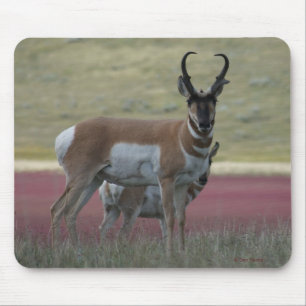 Gabelbock Mousepad