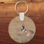 Gabelbock Schlüsselanhänger (Vorderseite)