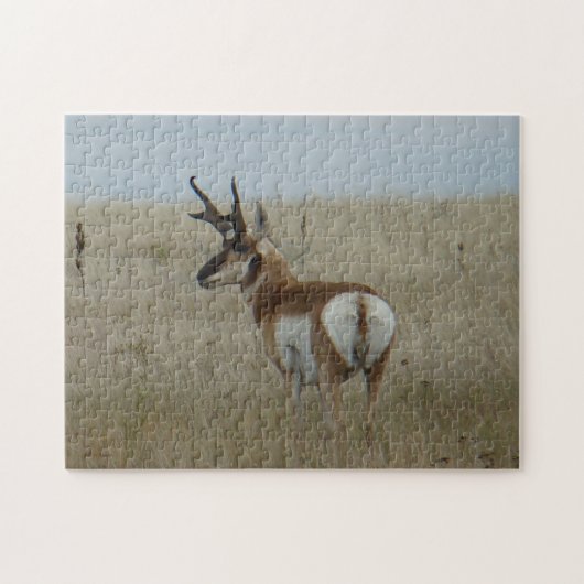 Gabelbockbock A22 Puzzle (Horizontal)