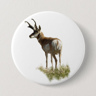 Gabelbockbock A43 Button