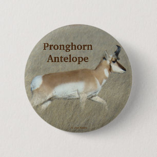 Gabelbockbock A44 Button