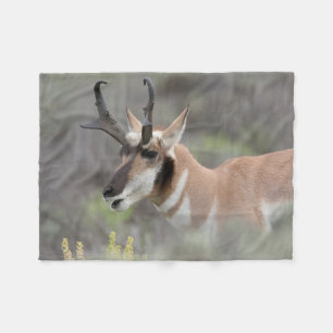 Gabelbockbock Grand Tetons Fleecedecke