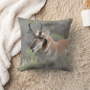Gabelbockbock Grand Tetons Kissen
