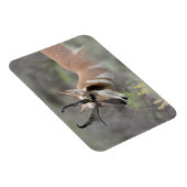 Gabelbockbock | Grand Tetons Magnet (Rechte Seite)