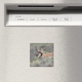 Gabelbockbock | Grand Tetons Magnet (In Situ (Geschirrspüler))
